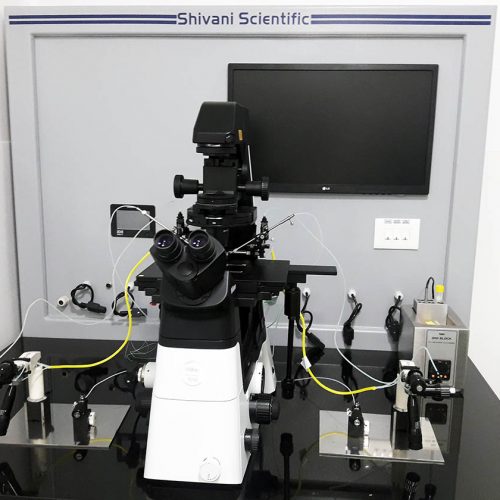 Fertilité Labo Semlali - El jadida
