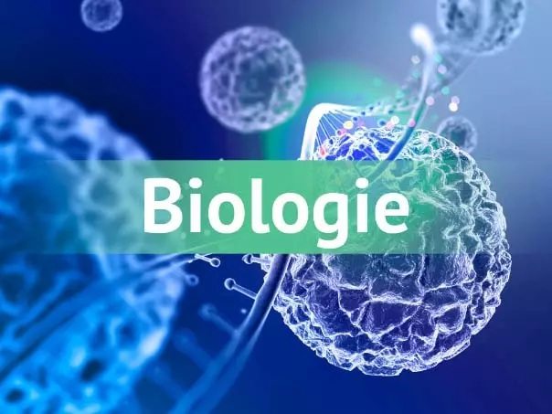 laboratoire Biologie Semlali El jadida